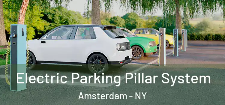  Electric Parking Pillar System Amsterdam - NY