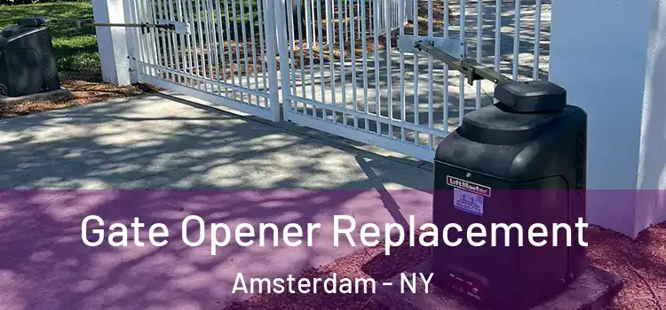 Gate Opener Replacement Amsterdam - NY
