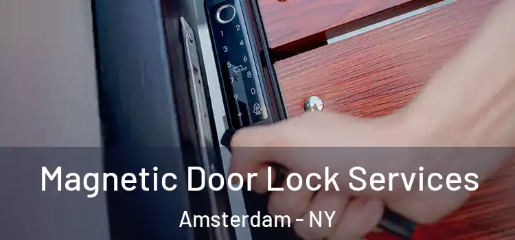 Magnetic Door Lock Services Amsterdam - NY